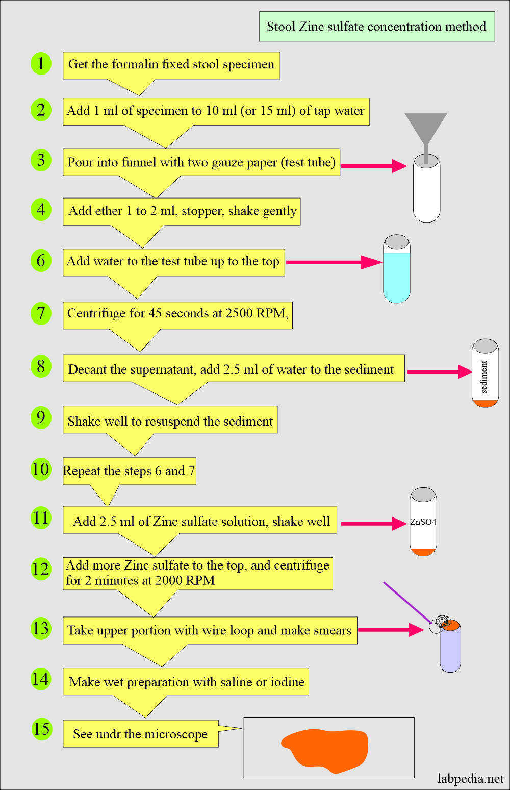 Process Stool Samples In Lab Resume Stool Examination:- Part 2 – Stool Smear Preparation, Stains …