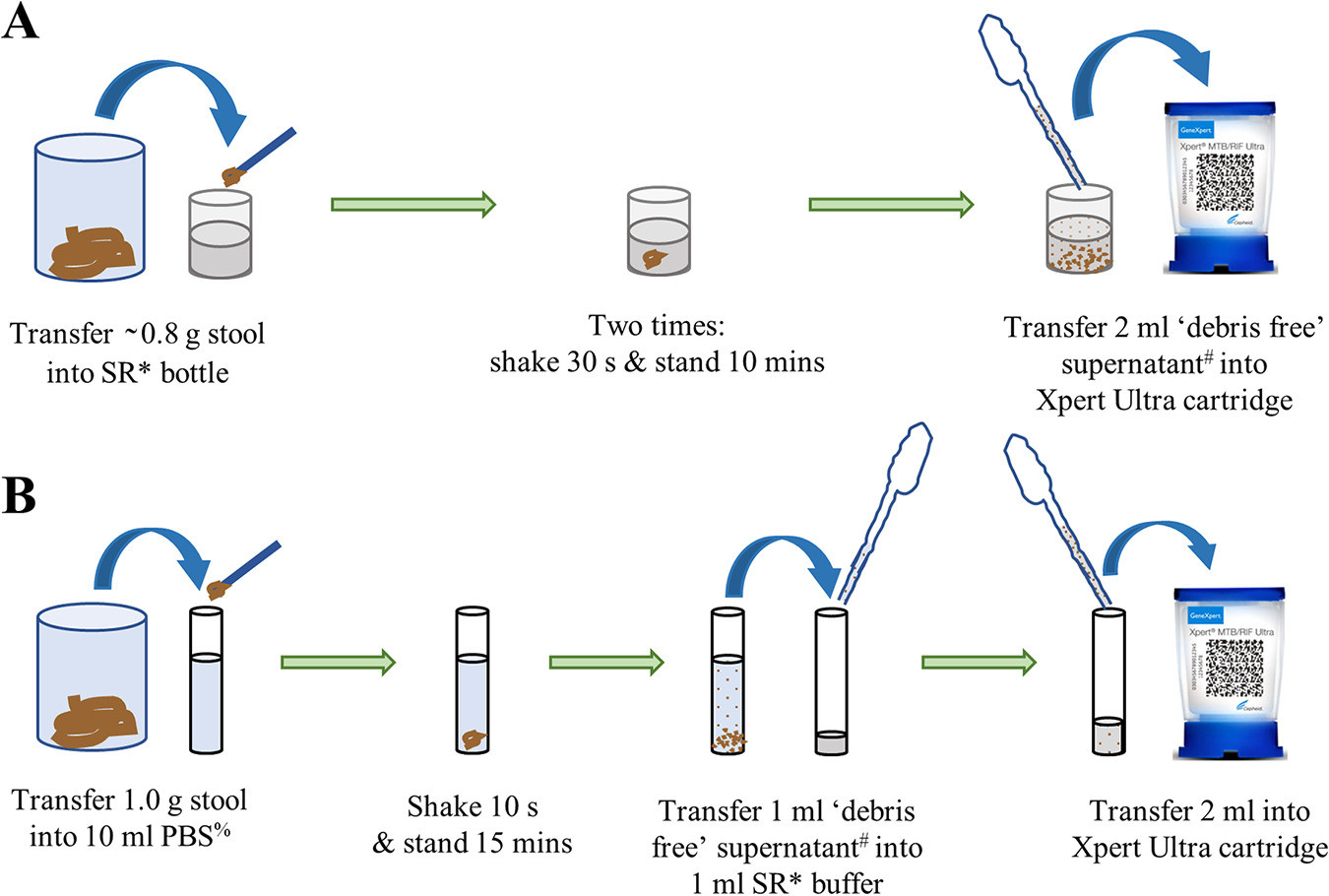 Process Stool Samples In Lab Resume the Simple One-step (sos) Stool Processing Method for Use with the …