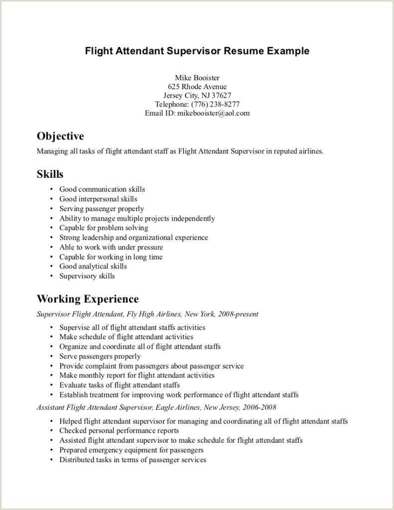 Resume Samples for Airport Job with No Experience Entry Level Flight attendant Resume No Experience Flight …