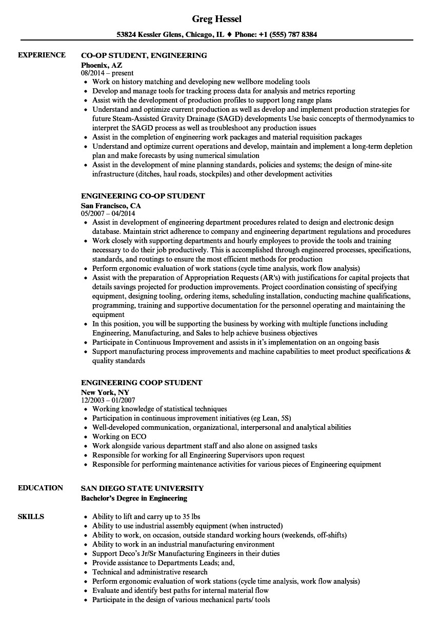 Sample Engineering Student Resume for Internship Engineering Student Resume