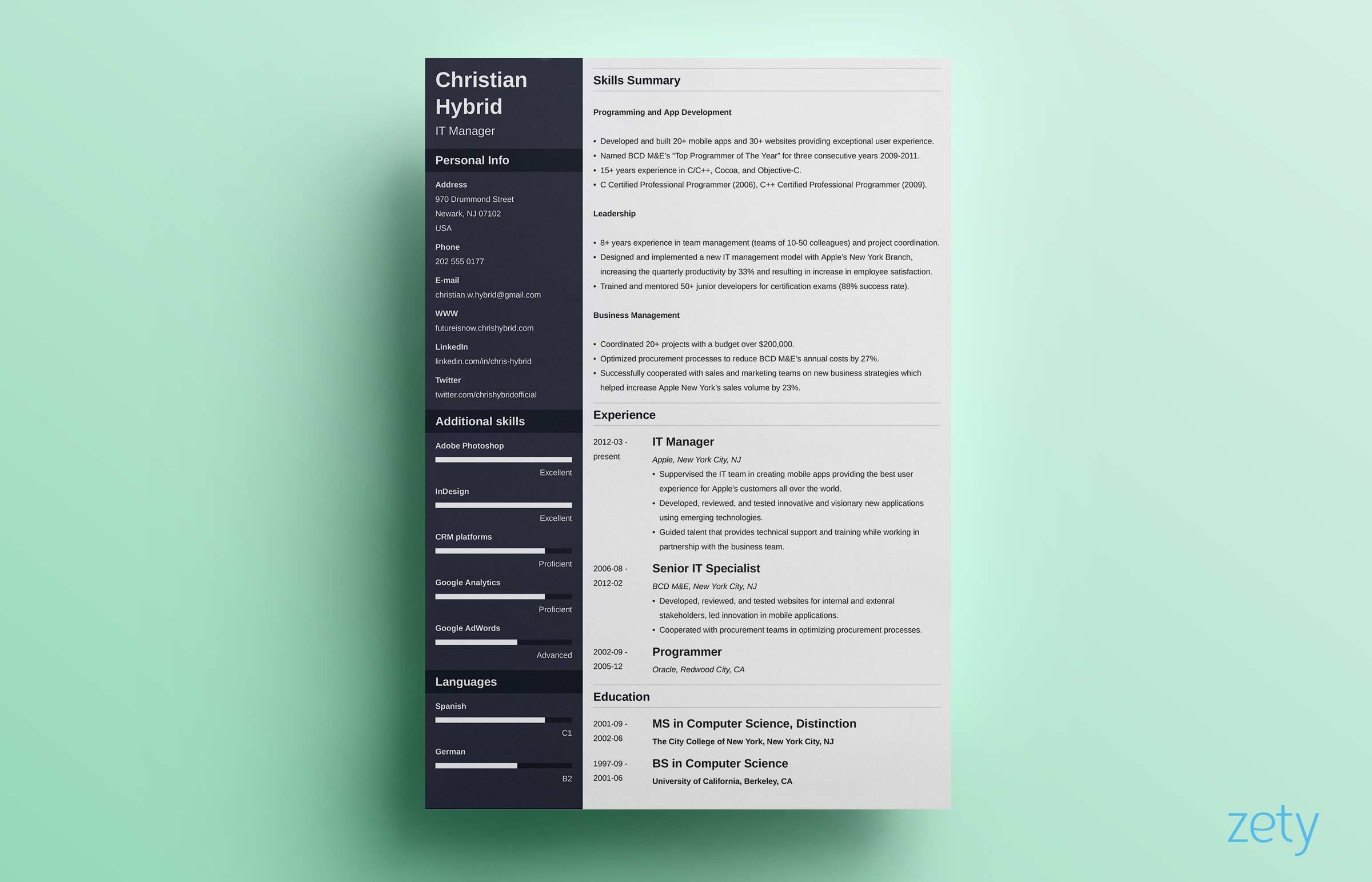 Sample Of Functional and Chronological Resume Combined Combination Resume (template & 5lancarrezekiq Combo Examples)