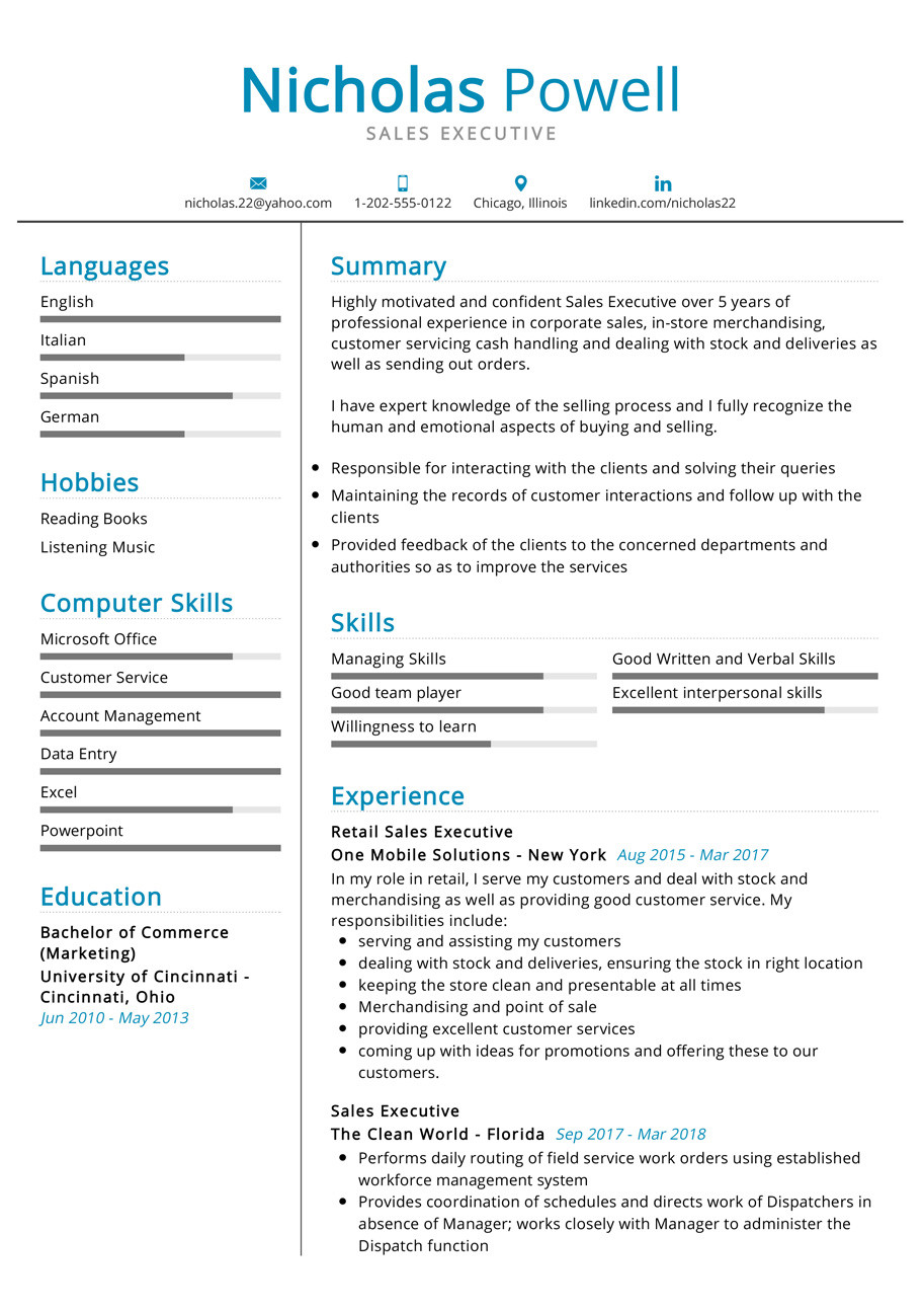Sample Skills and Abilities for Sales Resume Sales Executive Resume Example 2022 Writing Tips – Resumekraft