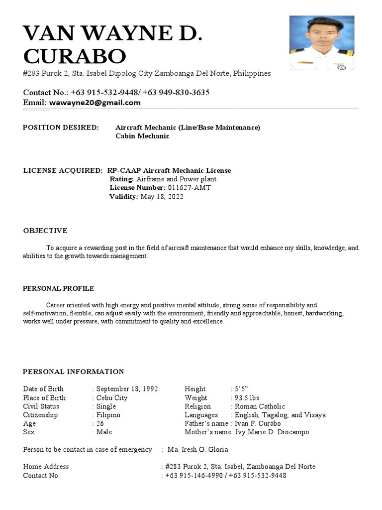 Air force Aircraft Mechanic Resume Sample Curriculum Vitae Pdf Aviation Aircraft