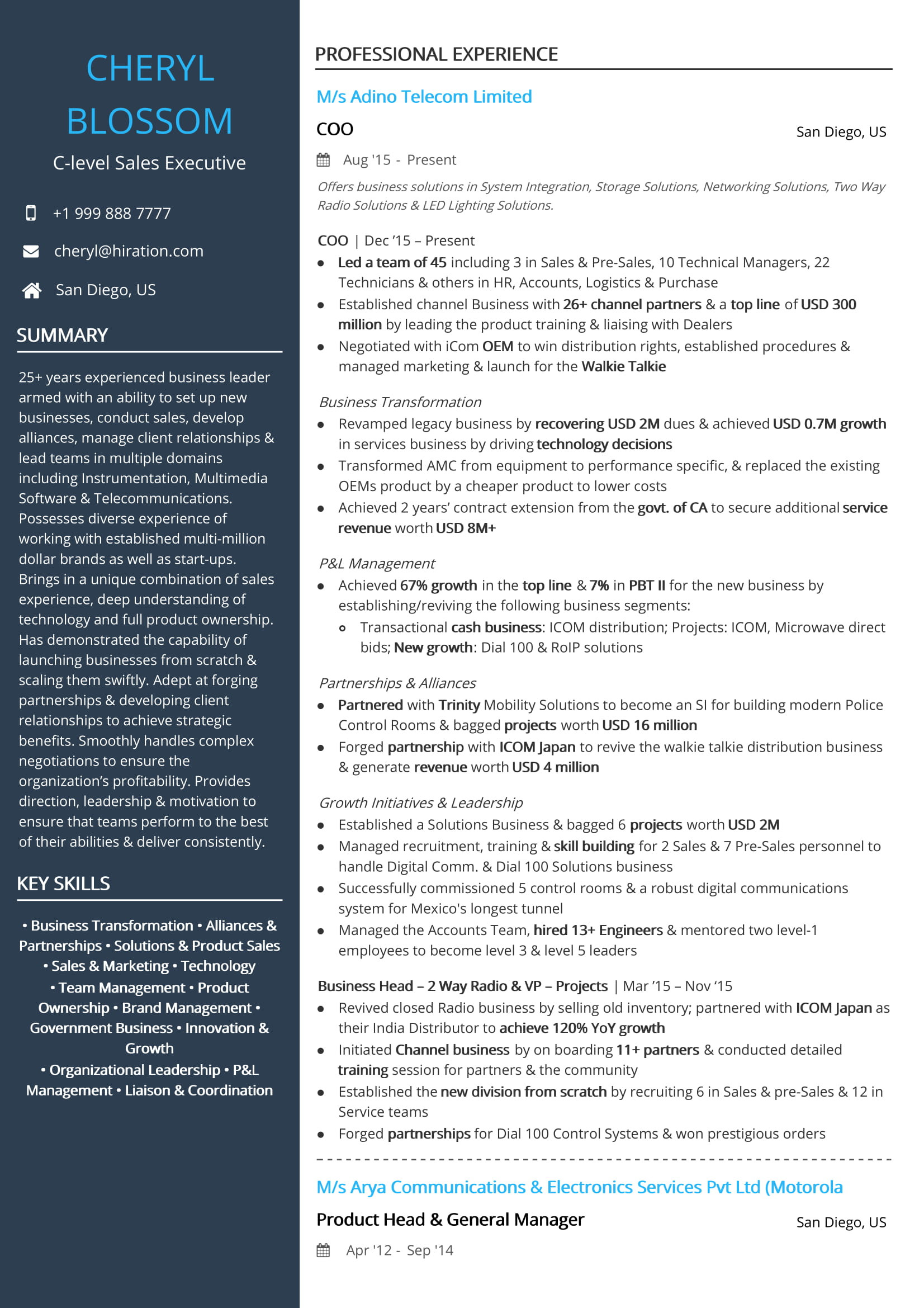 Software Pre Sales Support Resume Sample Free C-level Sales Executive Resume Sample 2020 by Hiration