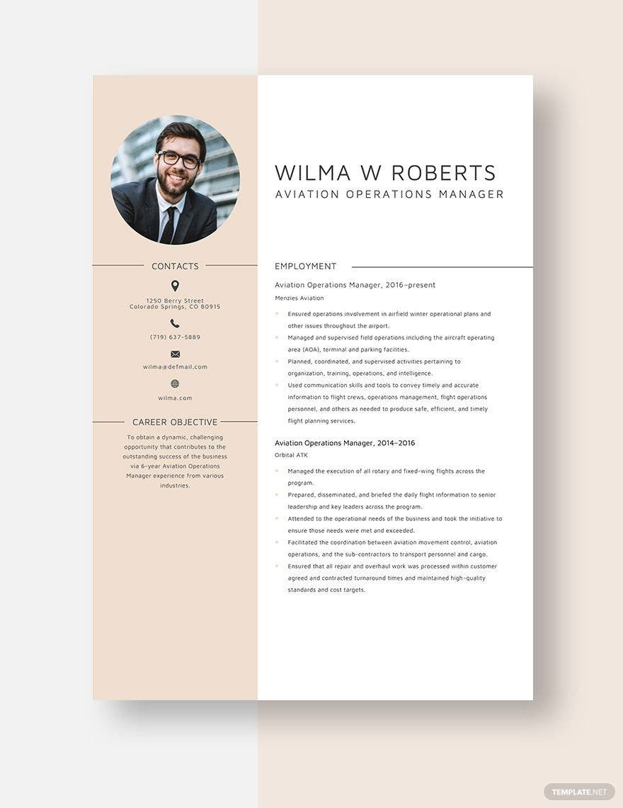 Terminal Operator Resume Sample for Entry Level Aviation Resume Templates – Design, Free, Download Template.net