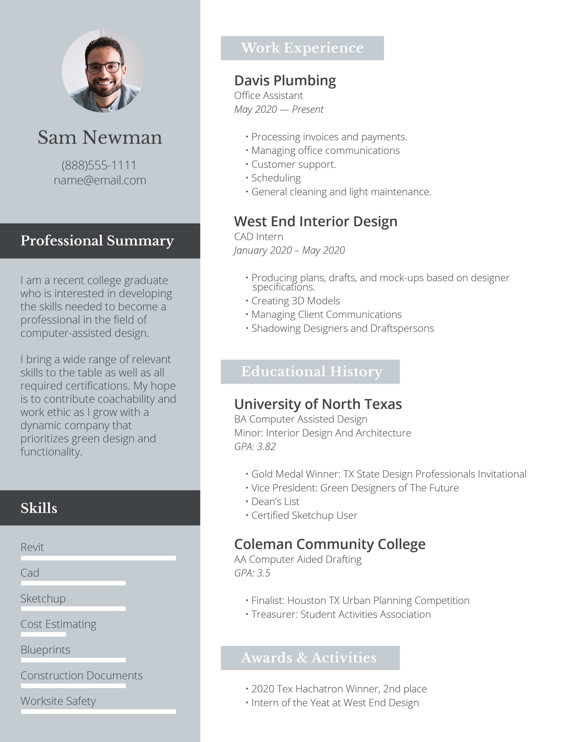 Resume Sample for An It Professional the Best Resume Examples for A Perfect Job Application – Freesumes