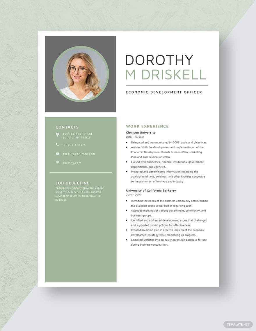 Sample Resume Director Of Economic Development Economic Development Officer Resume Template – Word, Apple Pages …