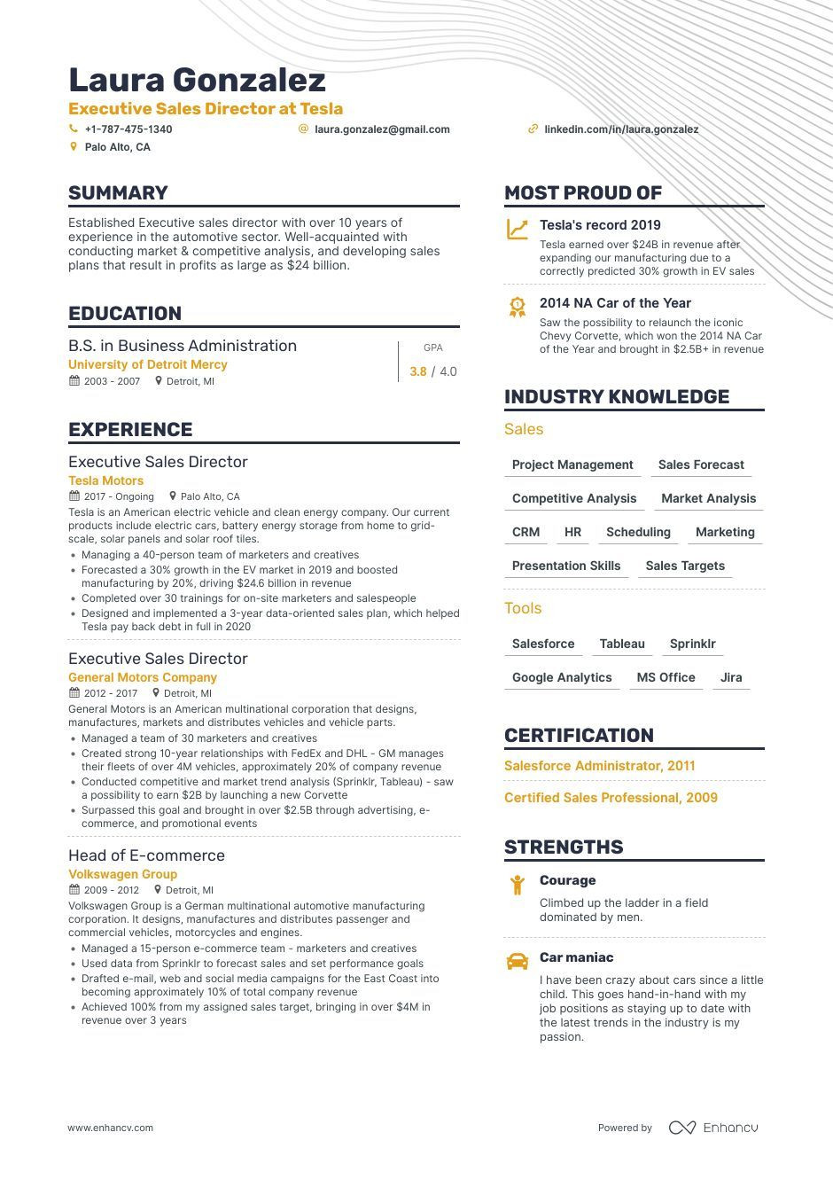 Sample Resume Director Of Sales and Marketing Sales Director Resume Examples: Templates & How-to Guide (layout …