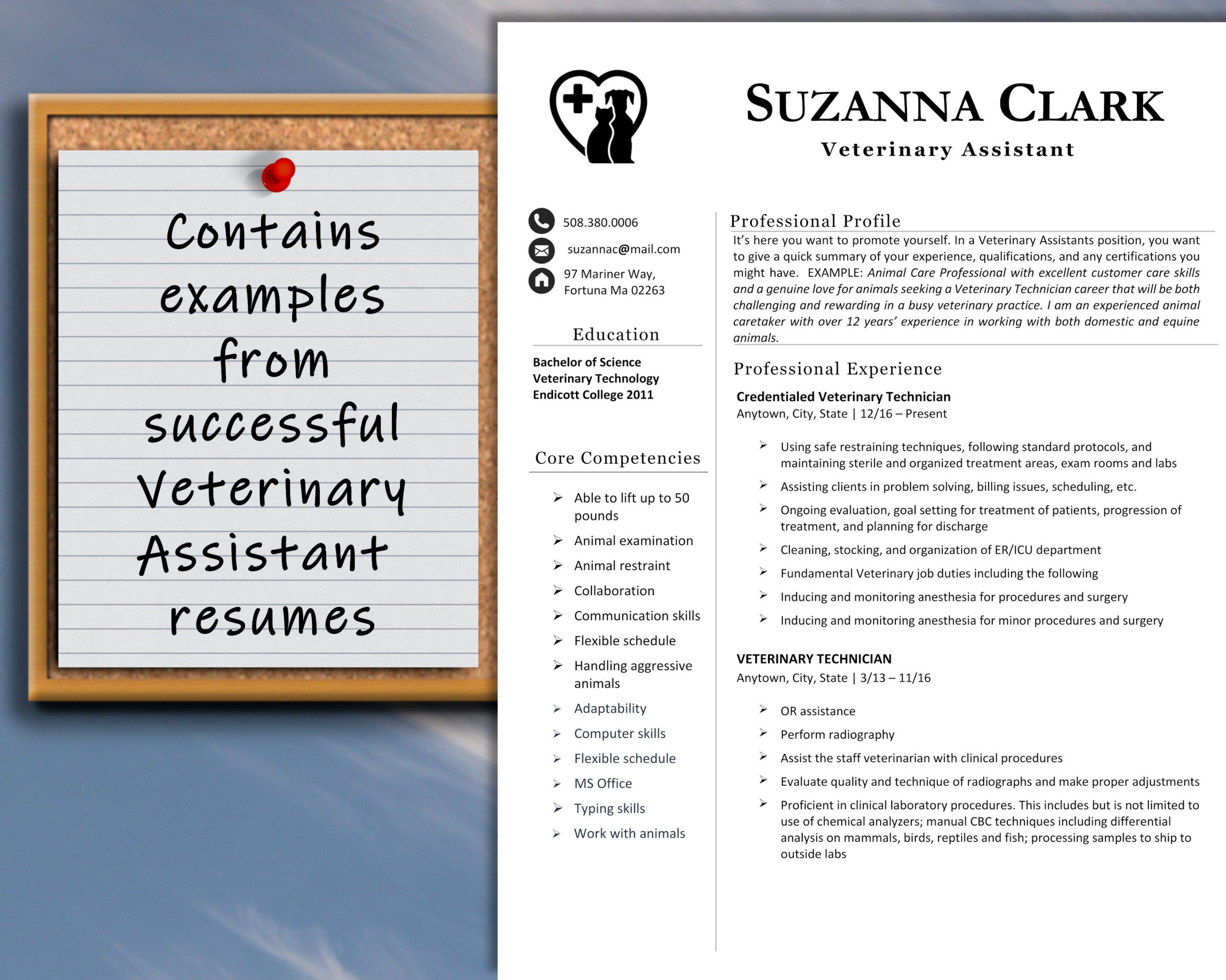 Resume Samples for Customer Service Vet Veterinary Tech or Vet assistant Resume Template with – Etsy.de