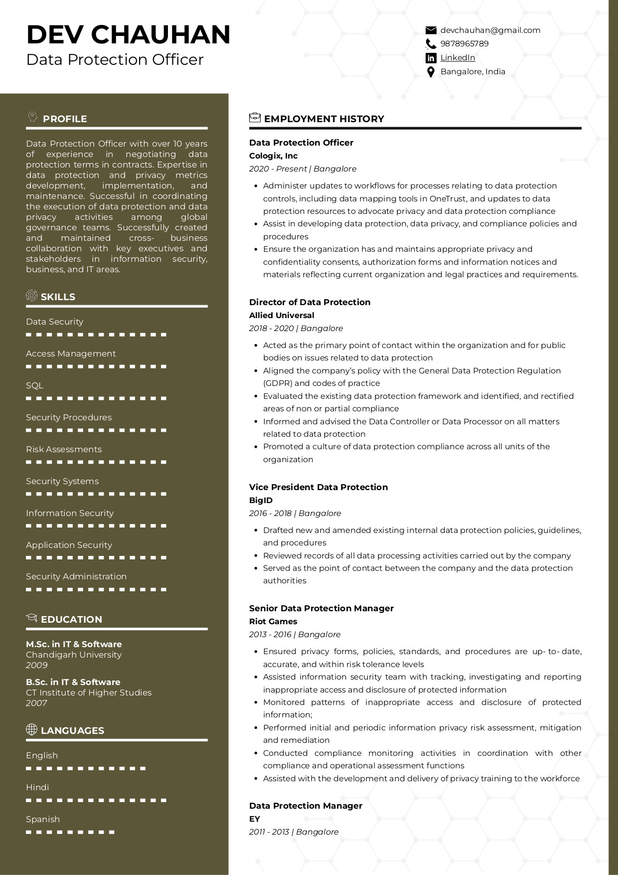 Sample Resume Sap Audit Security and Compliance Director Sample Resume Of Data Protection Officer with Template & Writing …