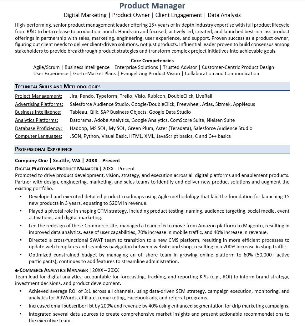 Business Analyst with Aladdin Sample Resume Product Owner Resume Monster.com