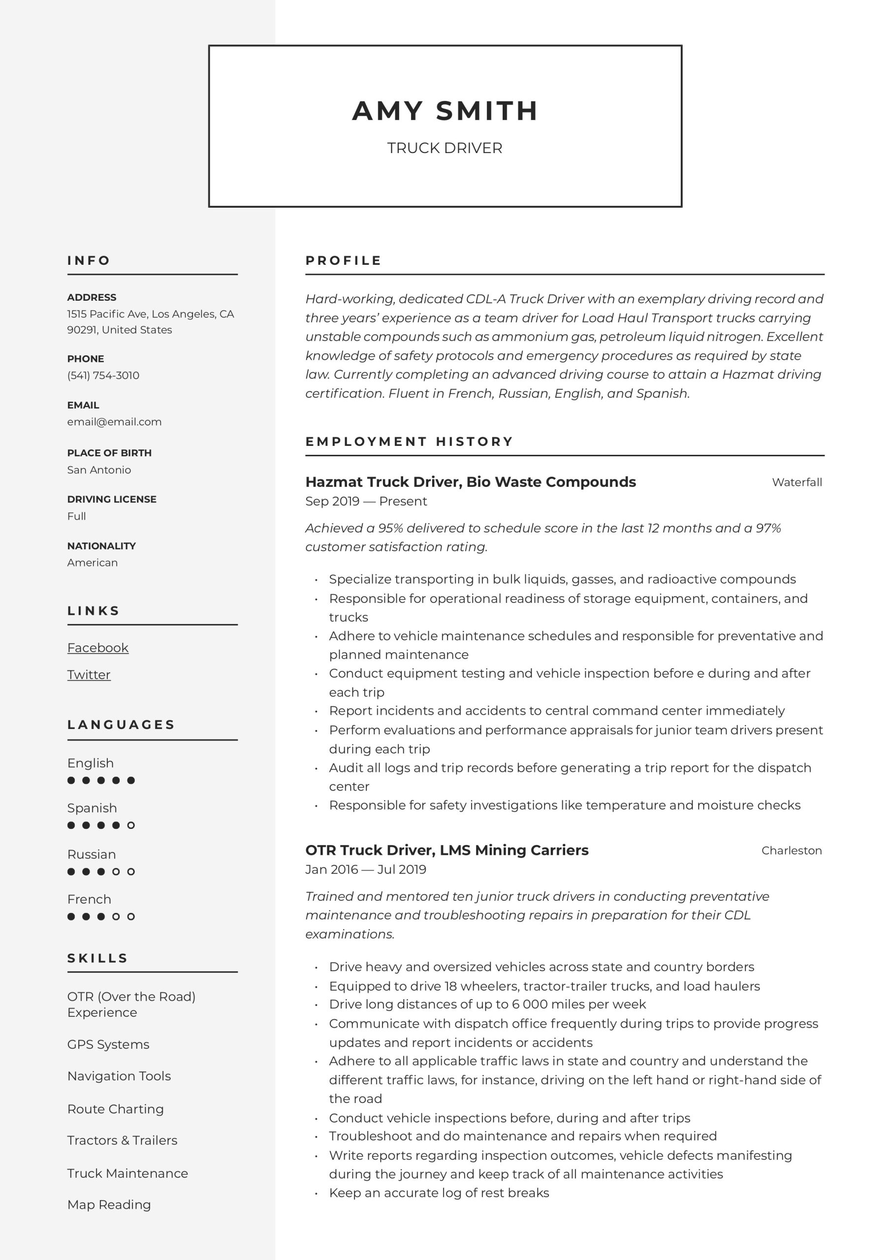 Class 1 Truck Driver Resume Sample Truck Driver Resume & Writing Guide  12 Resume Examples 2019