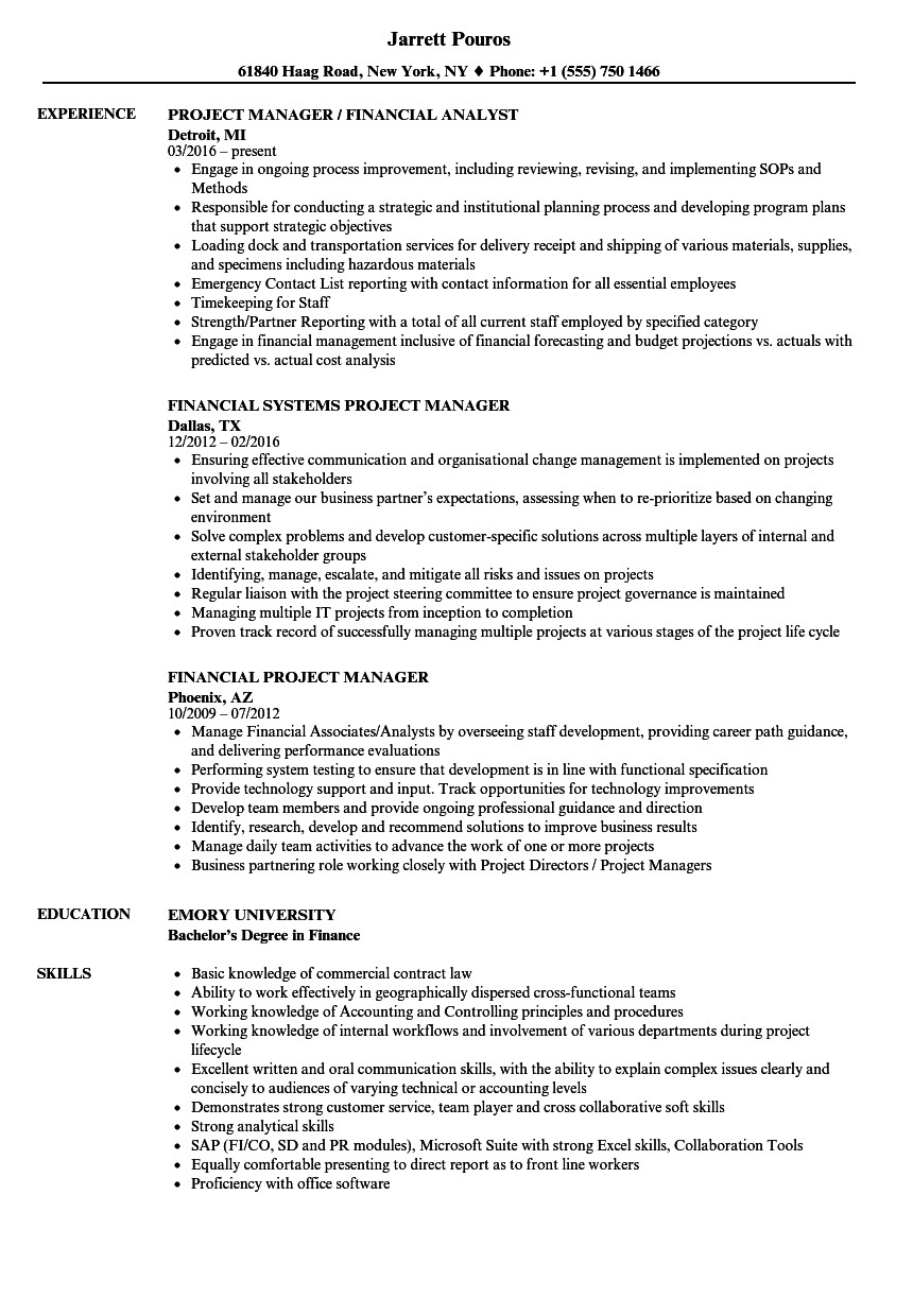 Financial Services Project Manager Resume Sample Financial Project Manager Resume Samples