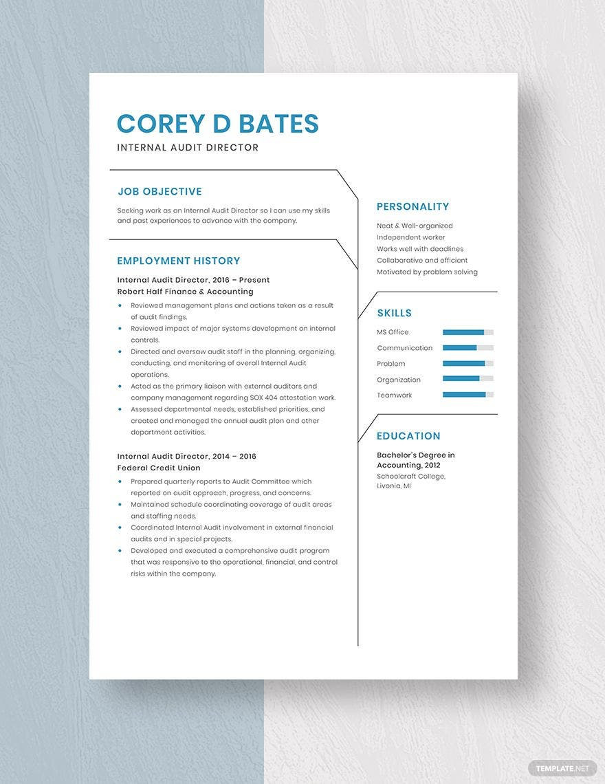 Sample Resume for Head Internal Audit Free Free Internal Audit Director Resume Template – Word, Apple …