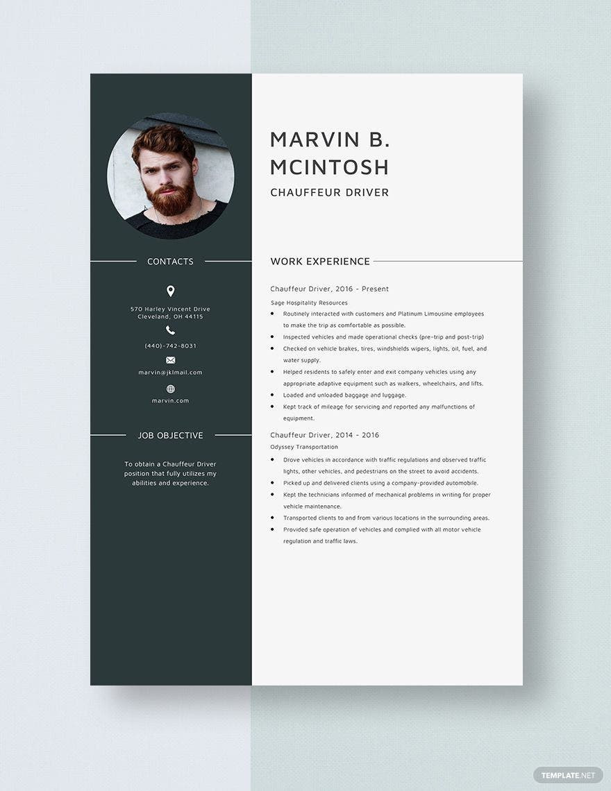 Sample Resume for Project Oddessy Coordinator Driver Resume Templates – Design, Free, Download Template.net