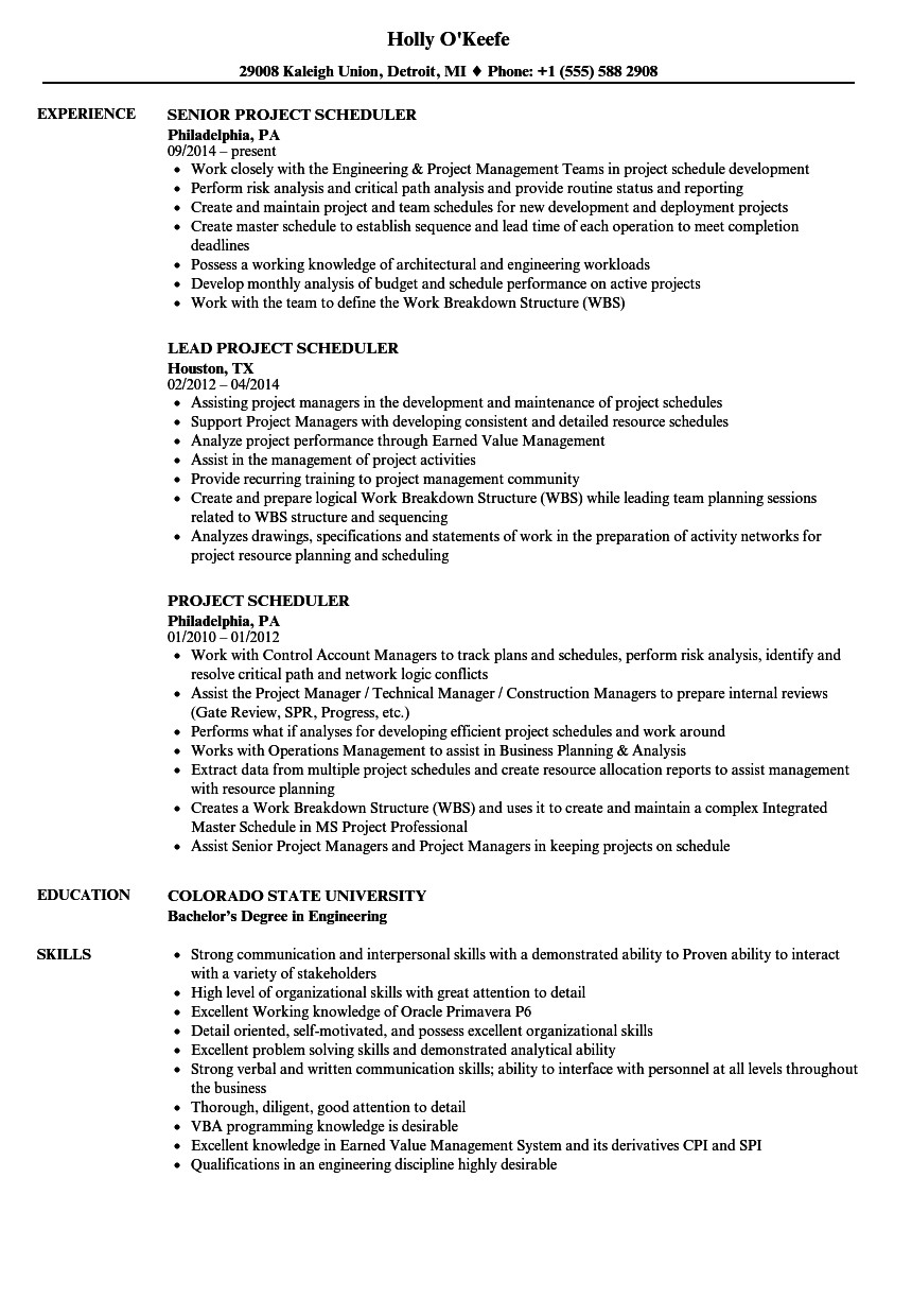 Sample Resume for Project Planner Scheduler Project Scheduler Resume Samples