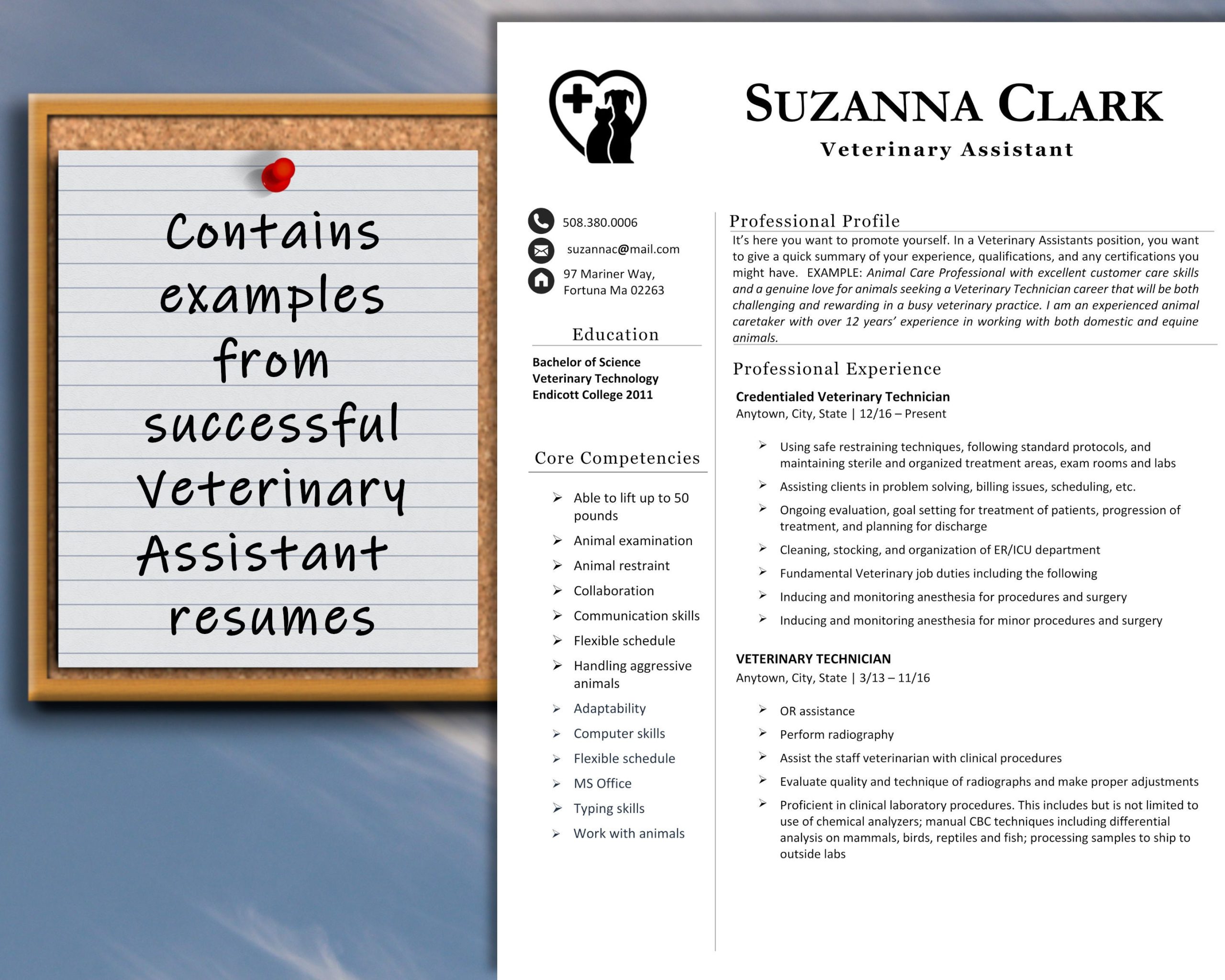 Sample Resume for Veterinary assistant with No Experience Veterinary Tech or Vet assistant Resume Template with – Etsy.de