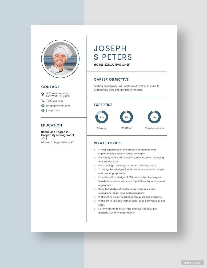 Business Analyst with Healthcare Mdw Resume Samples Executive Resume Templates – Design, Free, Download Template.net