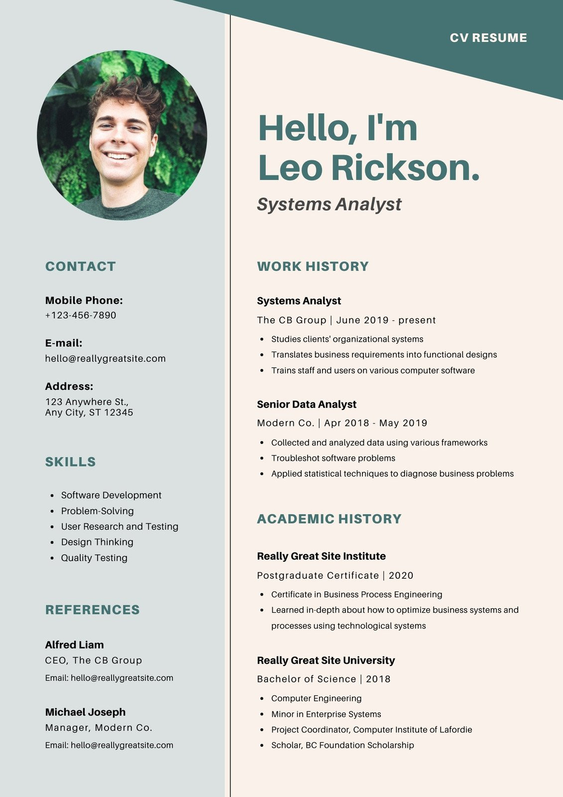 Business Analyst with Healthcare Mdw Resume Samples Page 12 – Free Printable Resume Templates You Can Customize Canva