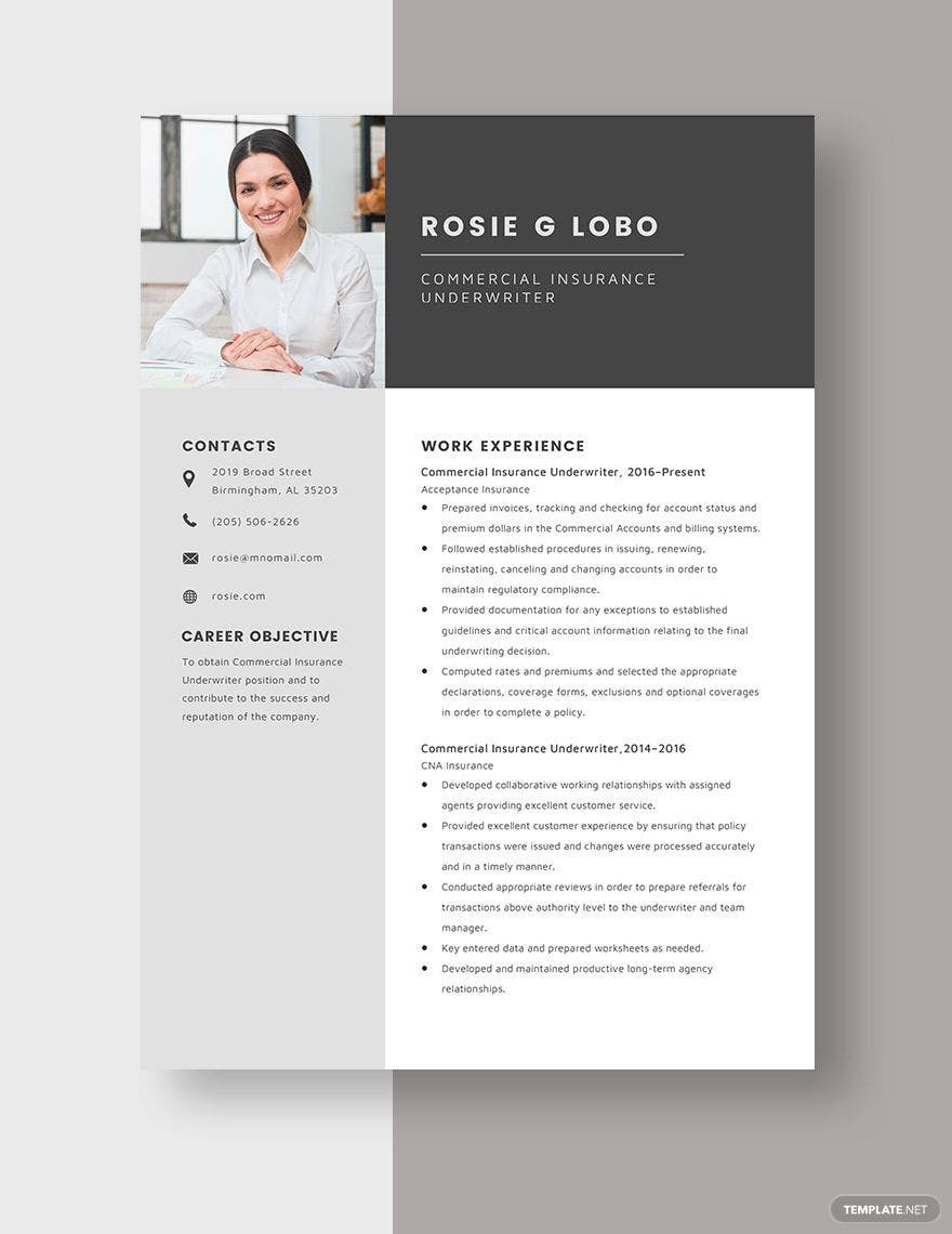 Insurance Underwriting assistant Sample Resume Example Underwriter Resume Templates – Design, Free, Download Template.net