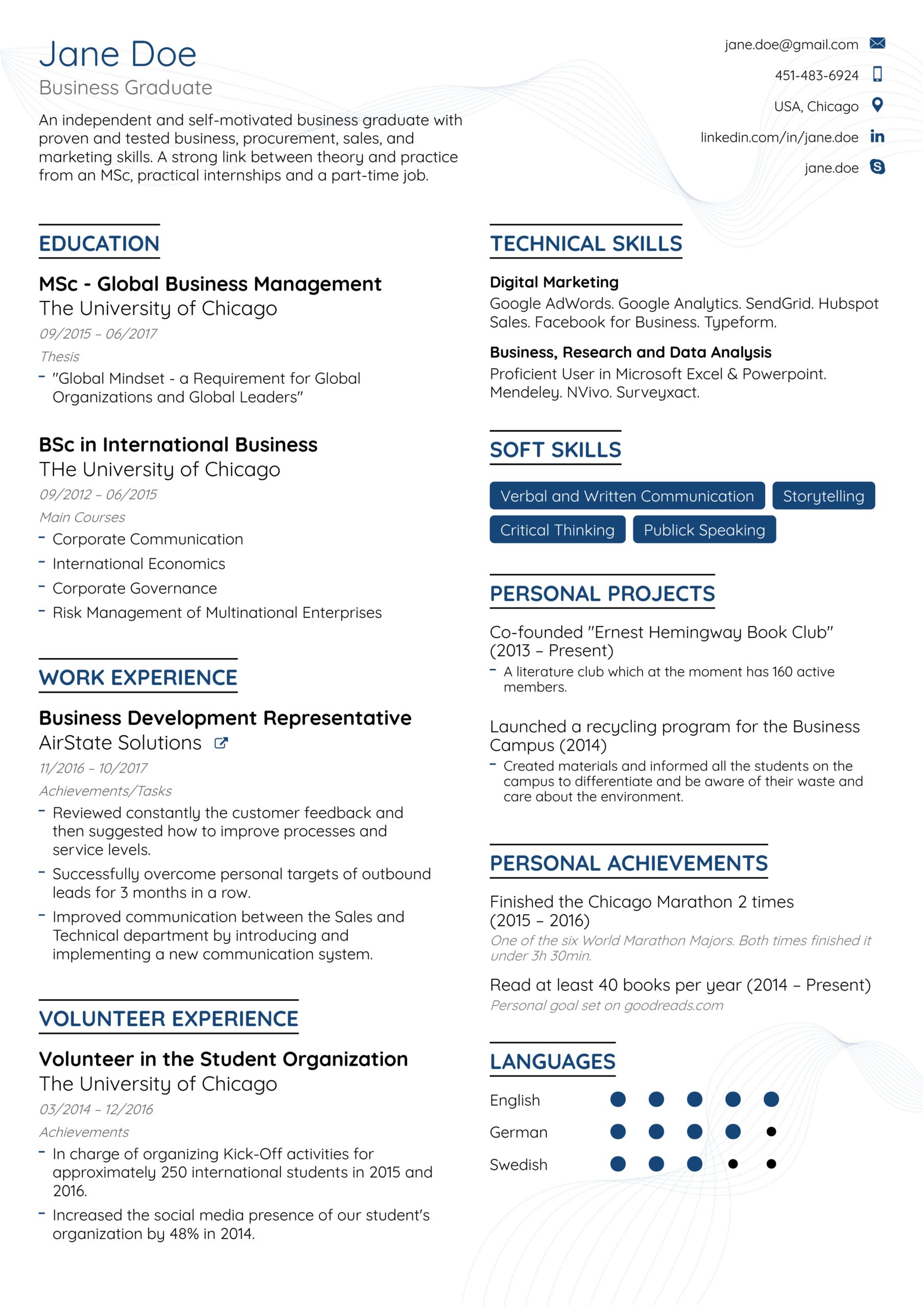 Sample Of A Good Professional Resume Best Resume Layout for 2022 [free Template]