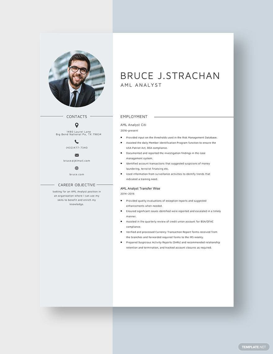 Anti Money Laundering Analyst Resume Sample Aml Analyst Resume Template – Word, Apple Pages Template.net
