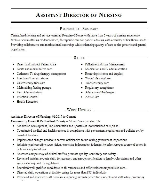 Assistant Director Of Nursing Resume Sample assistant Director Nursing Adon Resume Example
