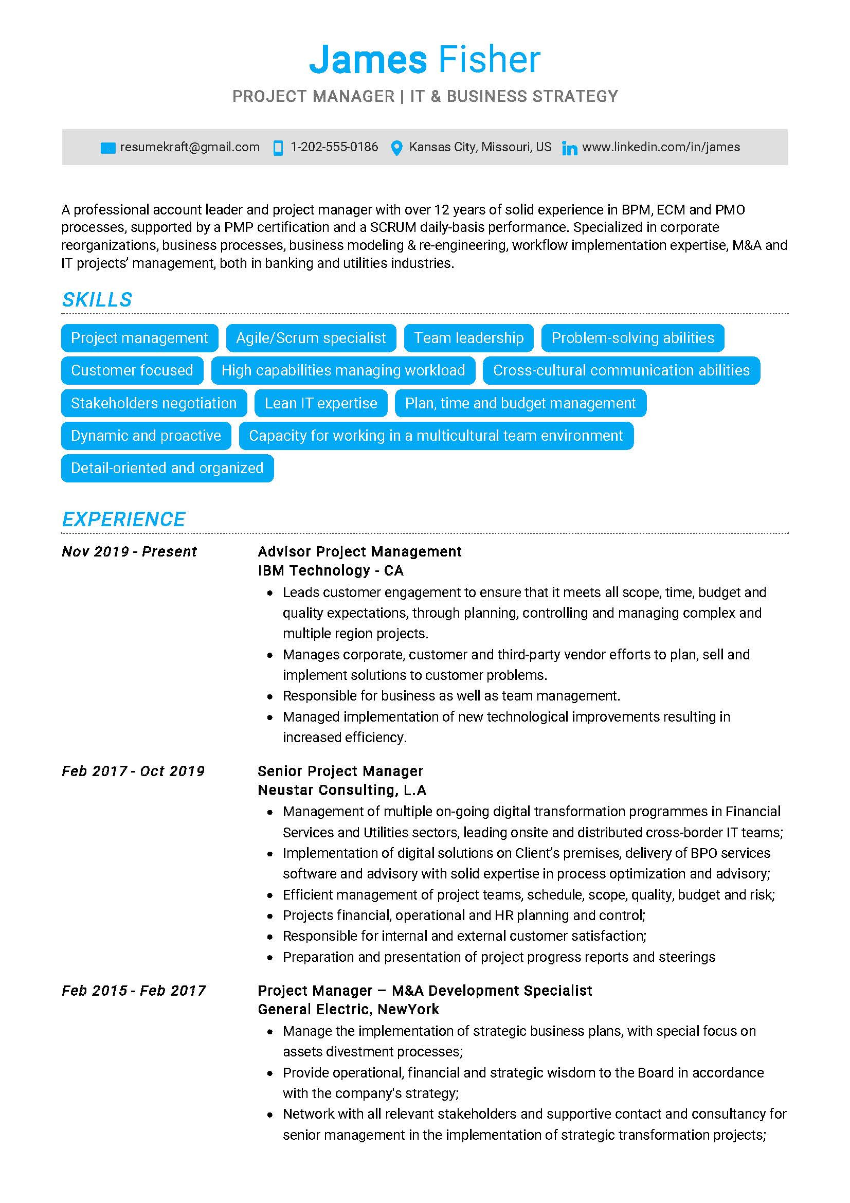 Enterprise It Pmo Executive Sample Resume Project Manager Resume Sample 2022 Writing Tips – Resumekraft
