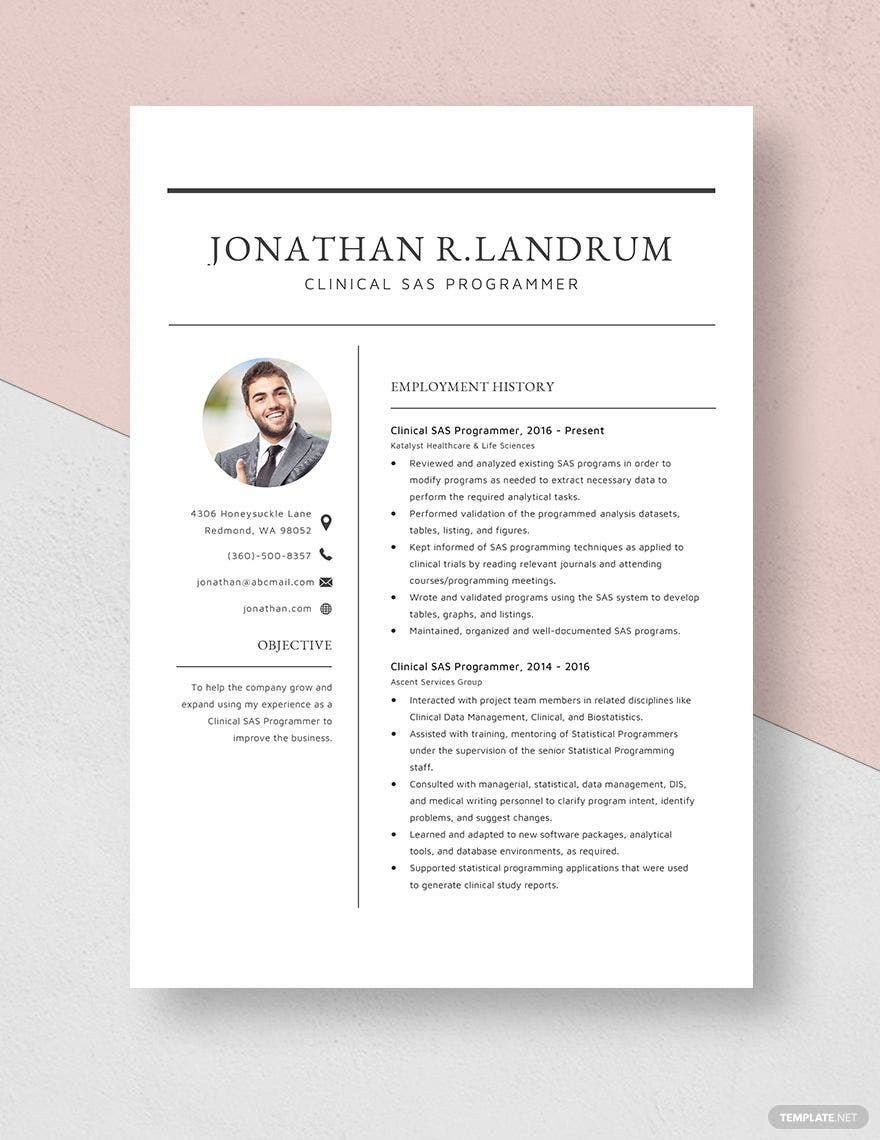 Entry Level Sas Programmer Resume Sample Clinical Sas Programmer Resume Template – Word, Apple Pages …