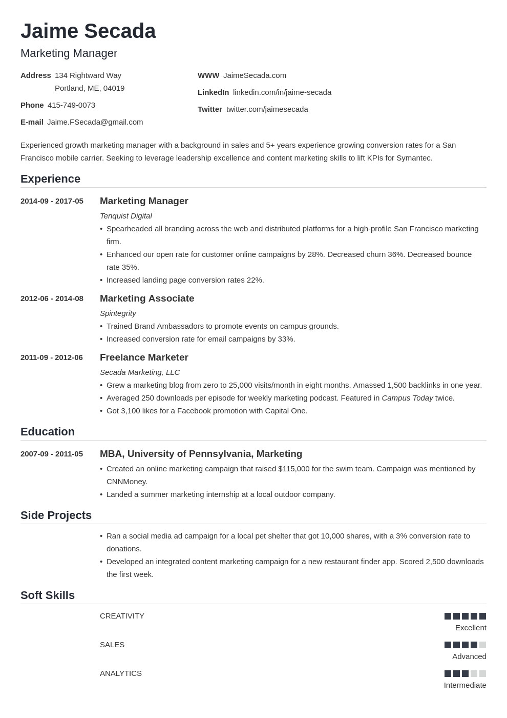 Free Resume Samples for Sales and Marketing Sales and Marketing Resume Template