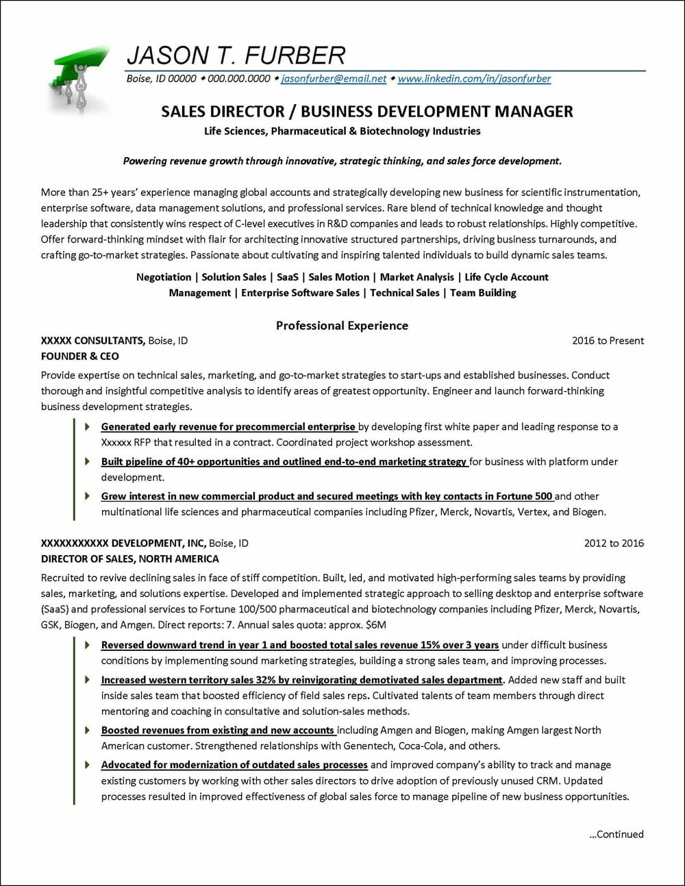 Sample Of Resumes for Vp Business Development Job-winning Example Business Development Resume