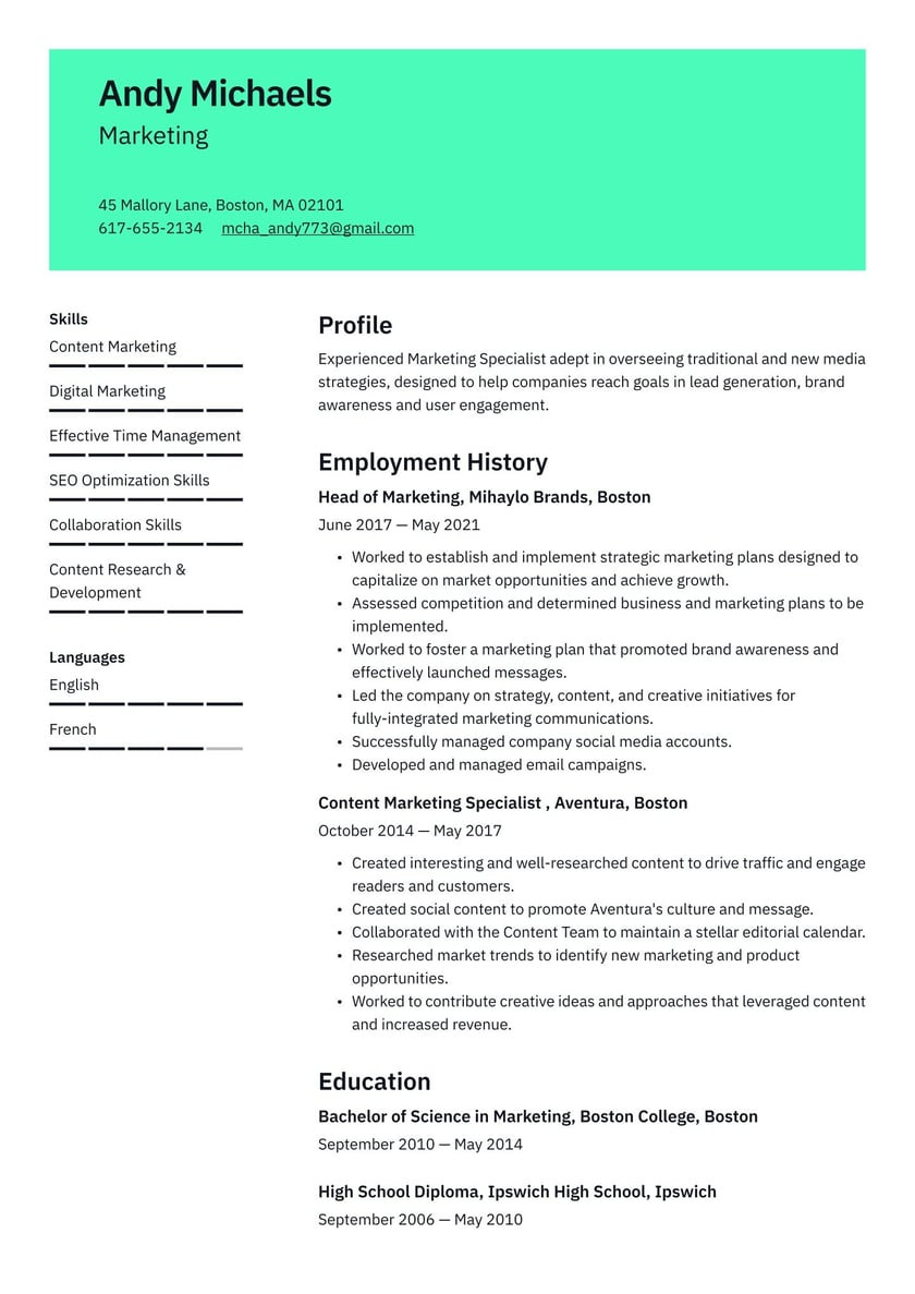 Samples Of Personal Brand Statements On Resumes Marketing Resume Examples & Writing Tips 2022 (free Guide)