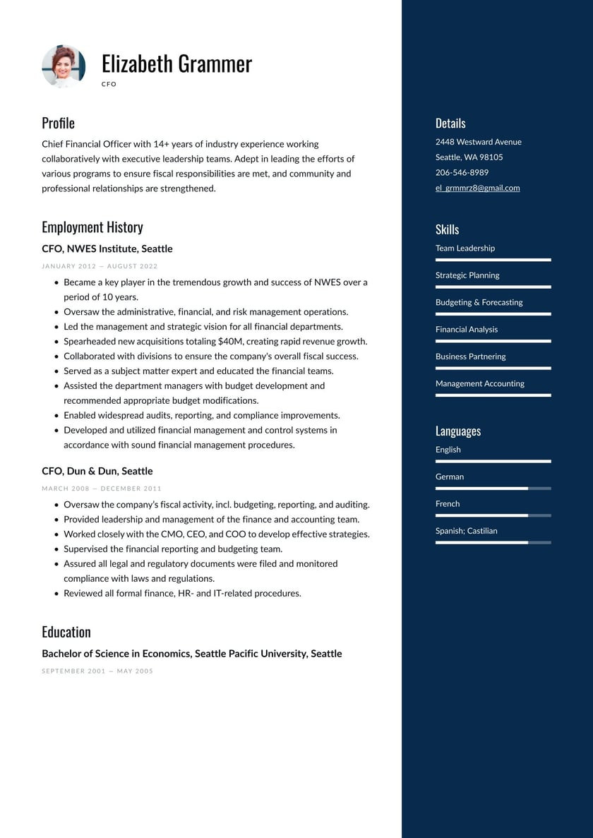 Part Time Cfo Services Resume Sample Cfo Resume Examples & Writing Tips 2022 (free Guide) Â· Resume.io