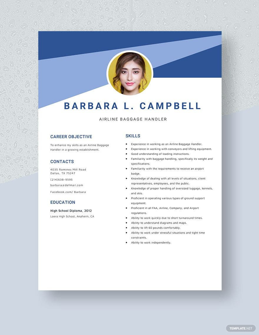 Sample Summary for Baggage Handler Position In A Resume Free Free Airline Baggage Handler Resume Template – Word, Apple …