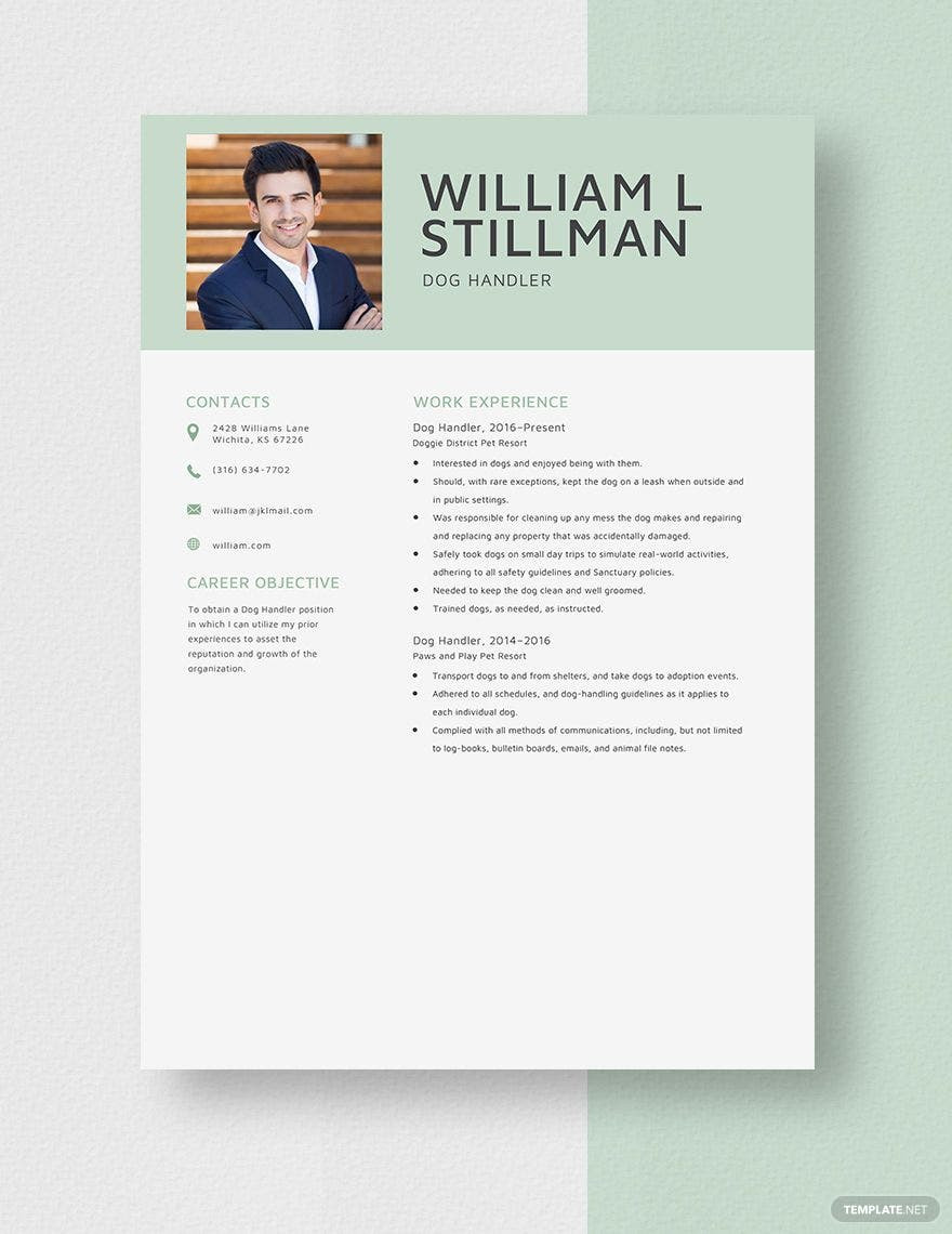Sample Summary for Baggage Handler Position In A Resume Handler Resume Templates Word – Design, Free, Download Template.net