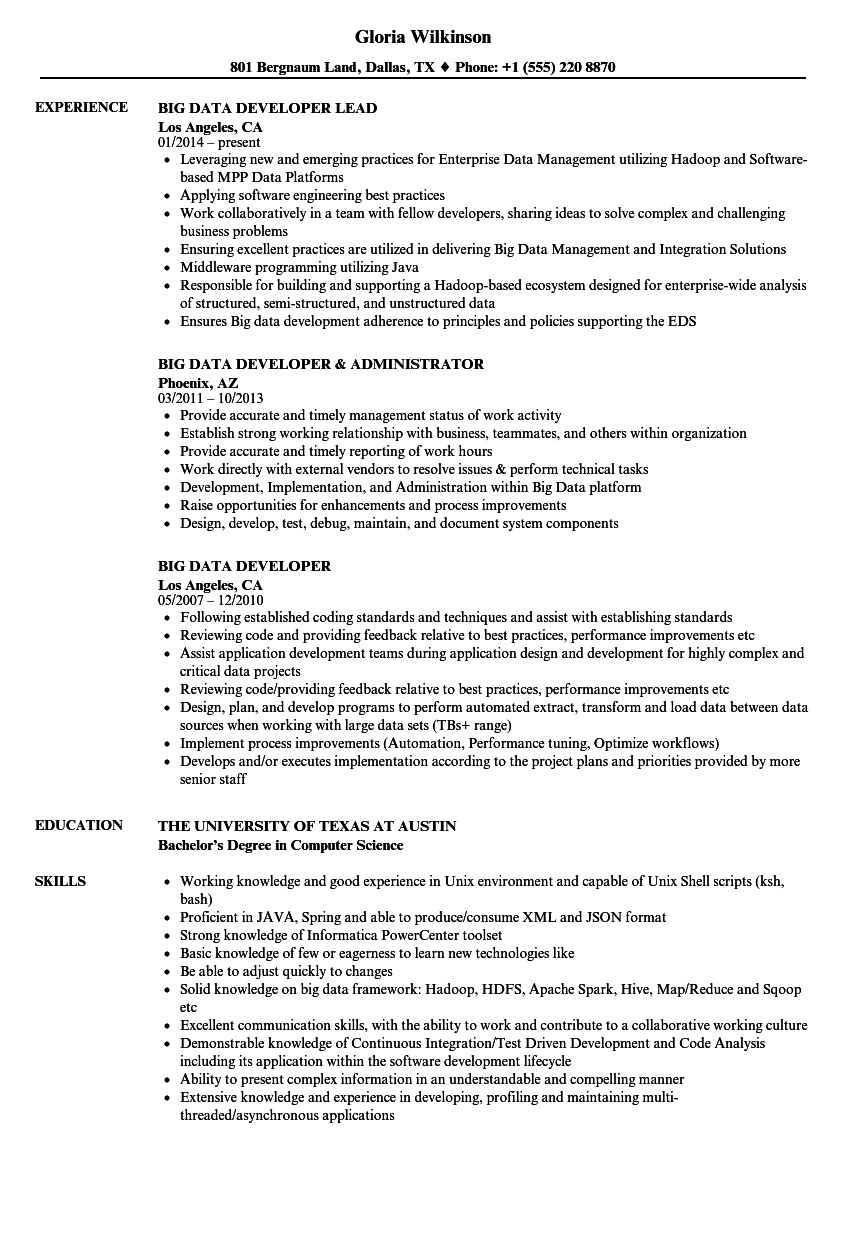 Big Data Hadoop Developer Resume Sample Big Data Developer Resume Samples