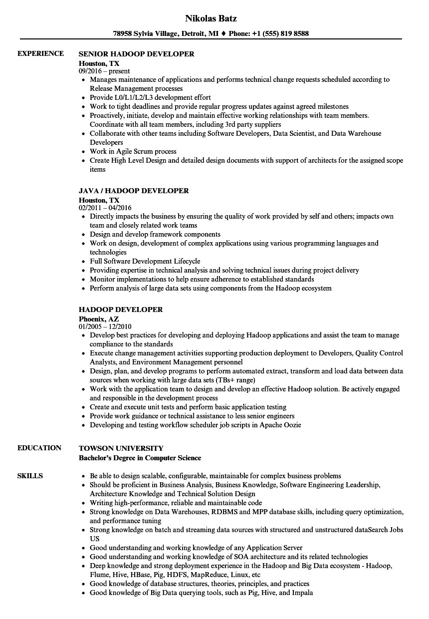 Big Data Hadoop Developer Resume Sample Hadoop Developer Resume