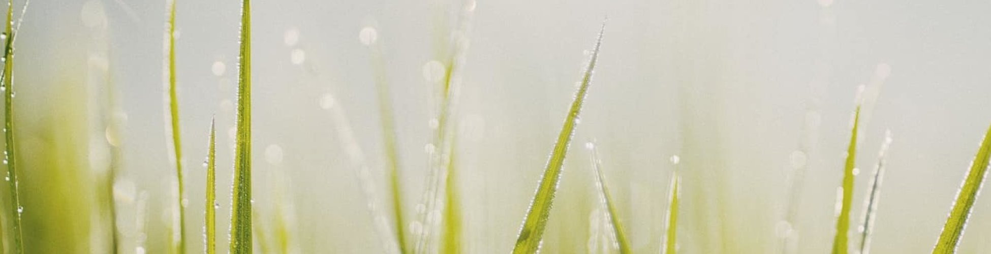 Sample Entry Level Environmental Science Resume Environmental Science Resume Examples (also Entry Level)