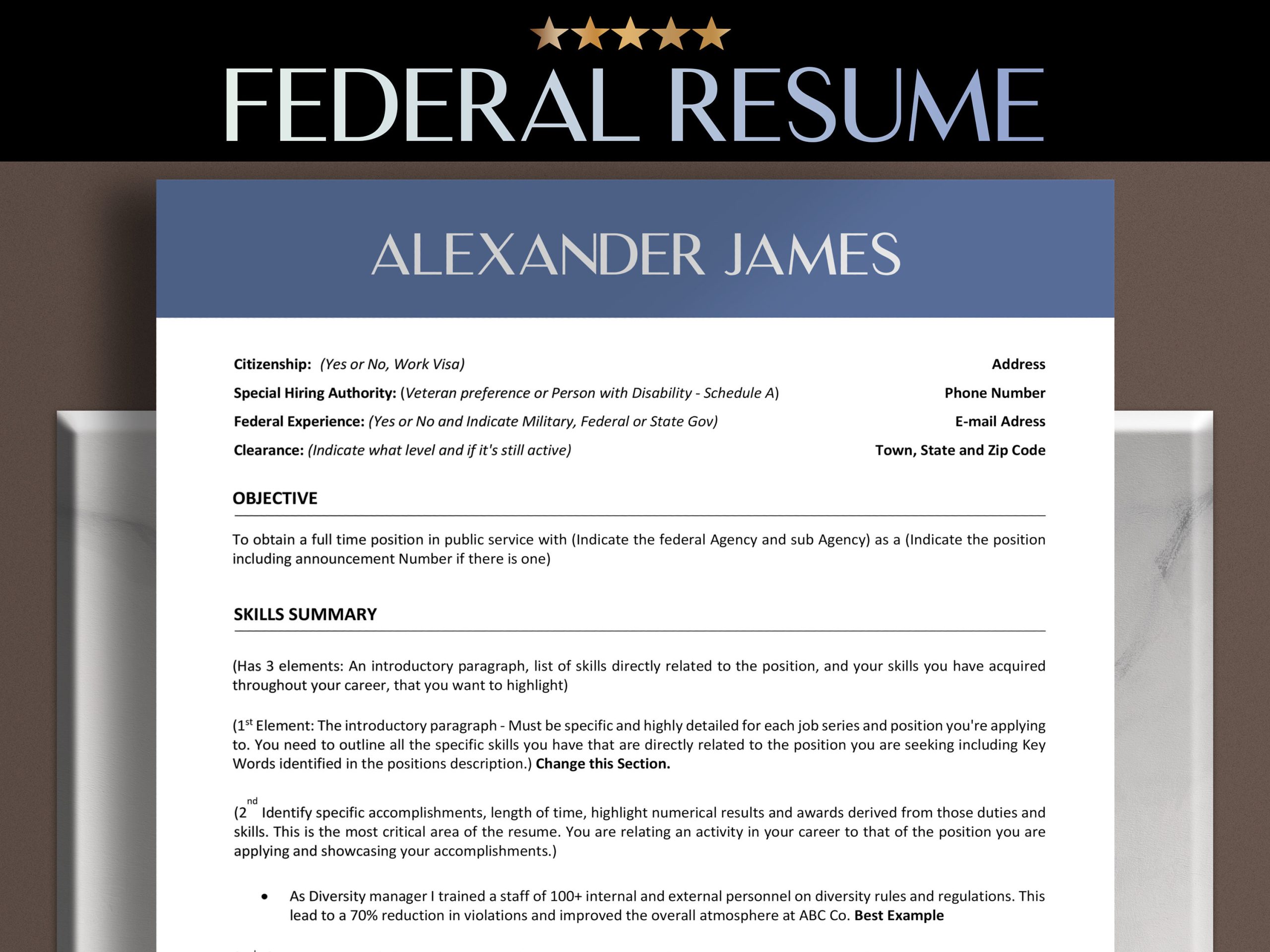 Sample Resume for Canadian Federal Government Job Federal Resume Templates Word Resume Federal Government – Etsy Canada