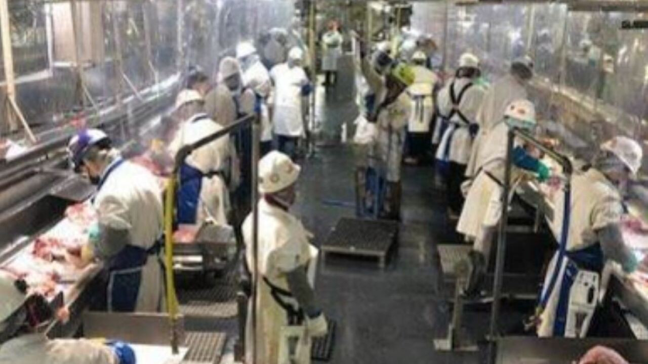 Tyson Foods Production Worker Resume Sample Production Resumes at Tyson In Logansport after Additional Cleaning