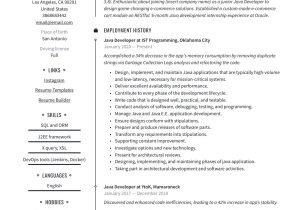 1 Year Experience Resume Sample for Java Java Developer Resume & Writing Guide  20 Templates