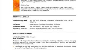 1 Year Java Experience Resume Sample Resume format for Java Developer with 1 Year Experience