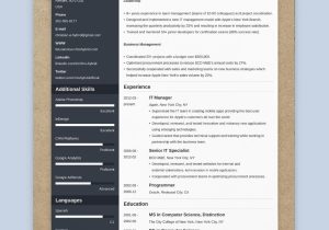 1 Year Work Experience Resume Sample the 3 Best Resume formats to Use In 2022 (examples)
