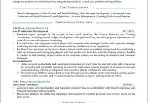 10 Vice President Of Operations Resume Samples Jobherojobhero 10lancarrezekiq Talent Acquisition Manager Resume Samples Jobherojobhero …