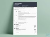10 Years It Experience Resume Samples the 3 Best Resume formats to Use In 2022 (examples)