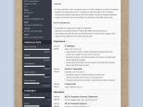 10 Years It Experience Resume Samples the 3 Best Resume formats to Use In 2022 (examples)