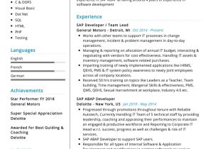 11 Years It Professional Resume Sample Professional Sap Resume Sample 2022 Writing Tips – Resumekraft
