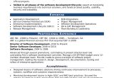 11 Years It Professional Resume Sample Sample Resume for An Experienced It Developer Monster.com