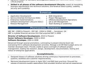 11 Years It Professional Resume Sample Sample Resume for An Experienced It Developer Monster.com