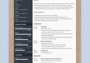 11 Years It Professional Resume Sample the 3 Best Resume formats to Use In 2022 (examples)